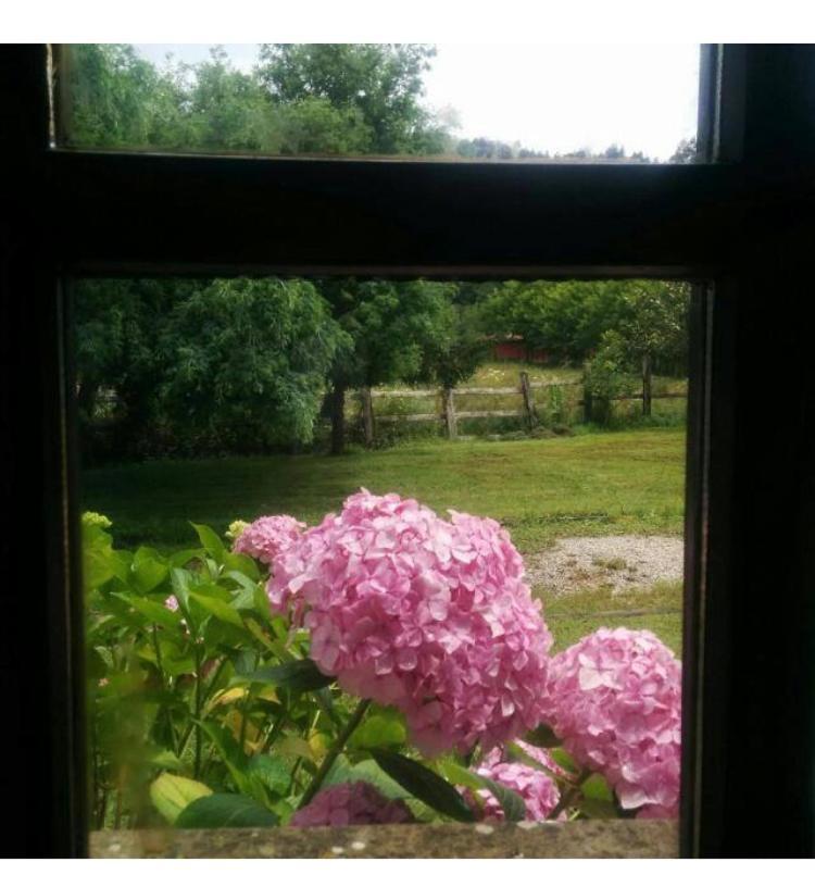 Casa Rural El Pozo Tremeo Sona Exteriör bild
